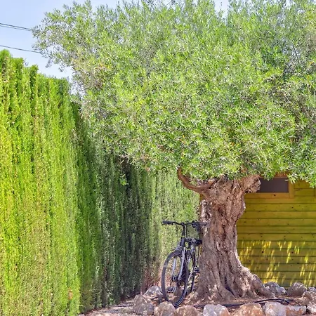 Willa Llenaire Nine Pollensa